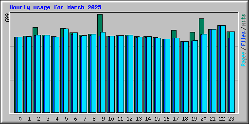 Hourly usage for March 2025