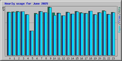 Hourly usage for June 2025