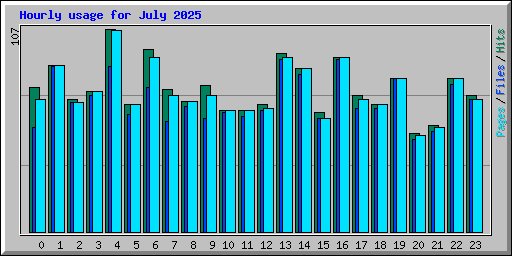 Hourly usage for July 2025