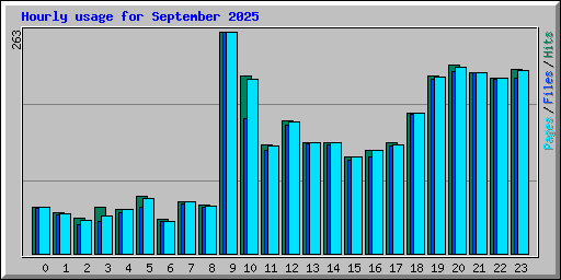 Hourly usage for September 2025