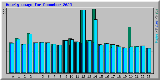 Hourly usage for December 2025