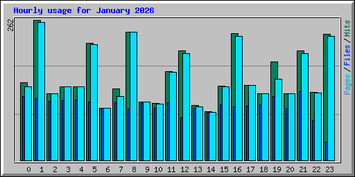 Hourly usage for January 2026